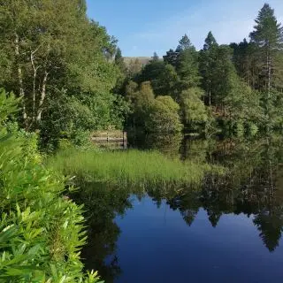 Instagram post 17905777061421996